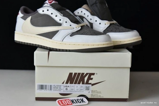 1 Air x Mocha Travis Reverse Scott Jordan DM7866-162 0811